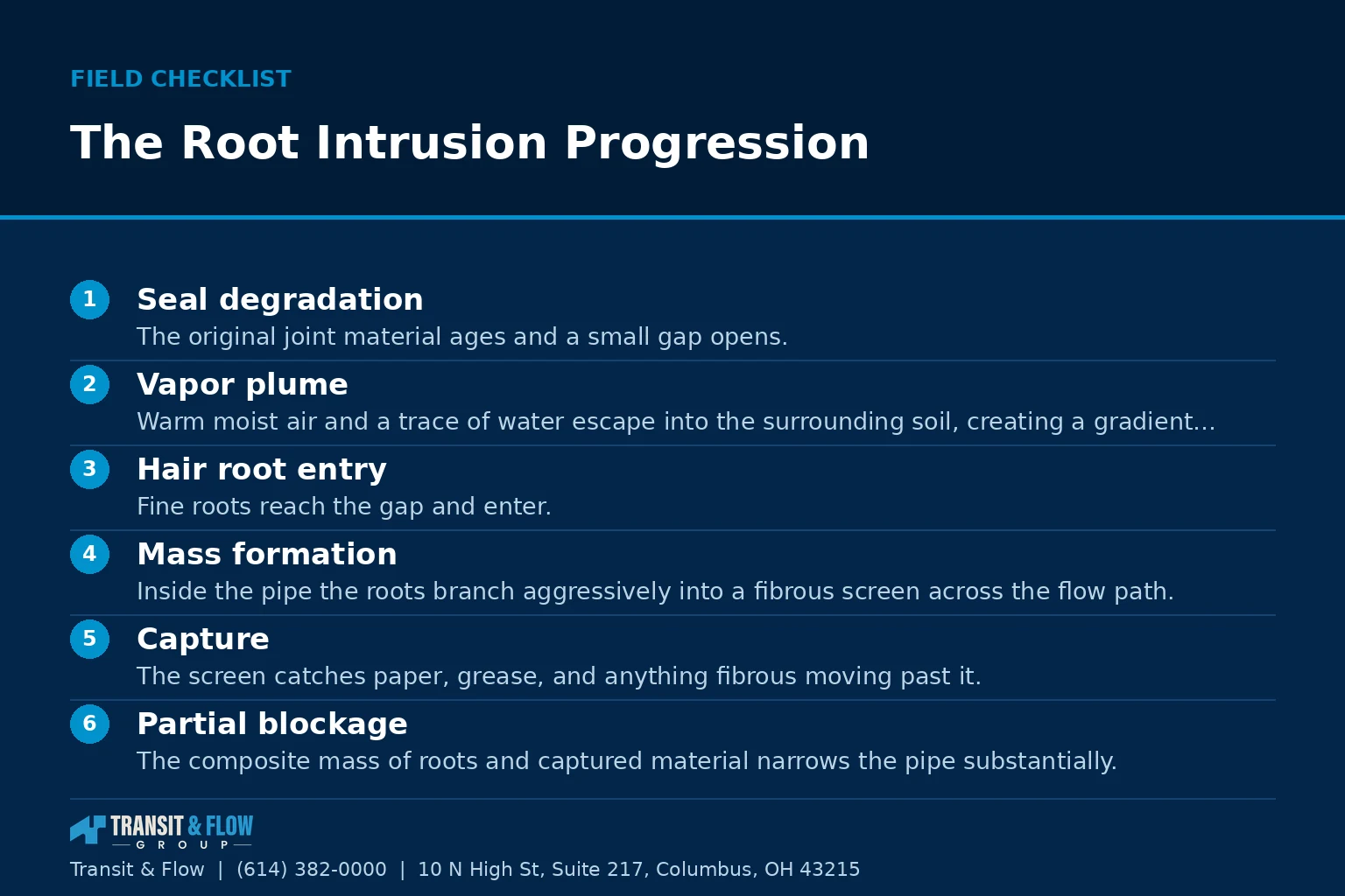 Checklist graphic summarizing The Root Intrusion Progression. - Transit & Flow Group Checklist graphic summarizing The Root Intrusion Progression.