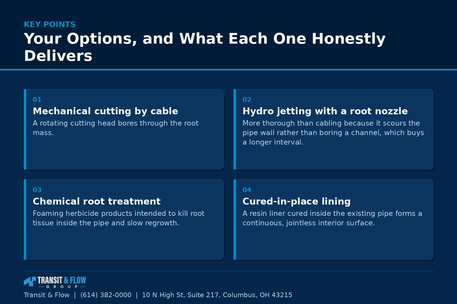 Summary panel covering Your Options, and What Each One Honestly Delivers. - Transit & Flow Group Summary panel covering Your Options, and What Each One Honestly Delivers.